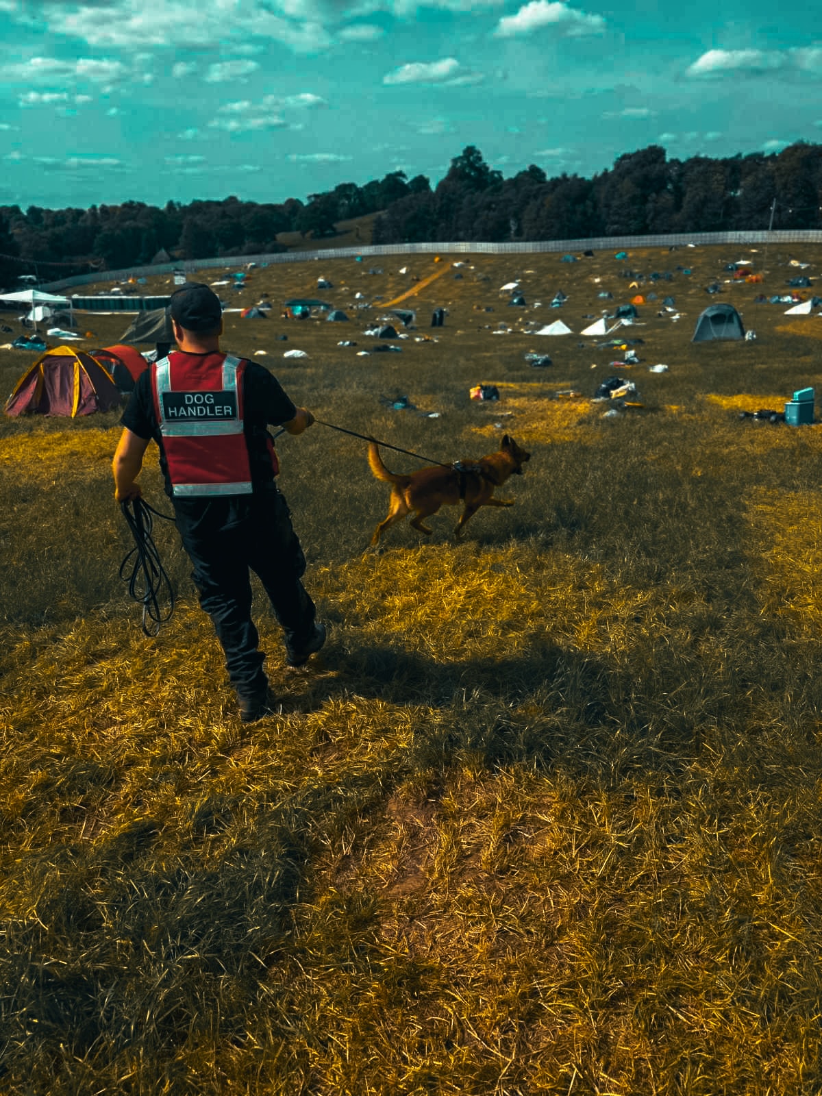 Protection Craft K9 training and handling image